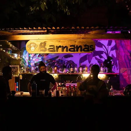 Bananas Hostel-3