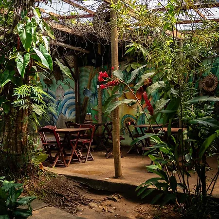 Bananas Hostel-2