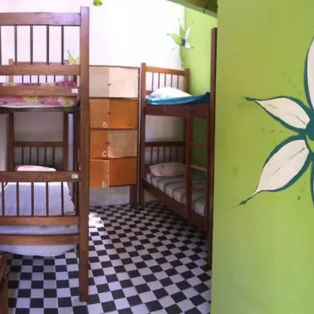 Bananas Hostel-2